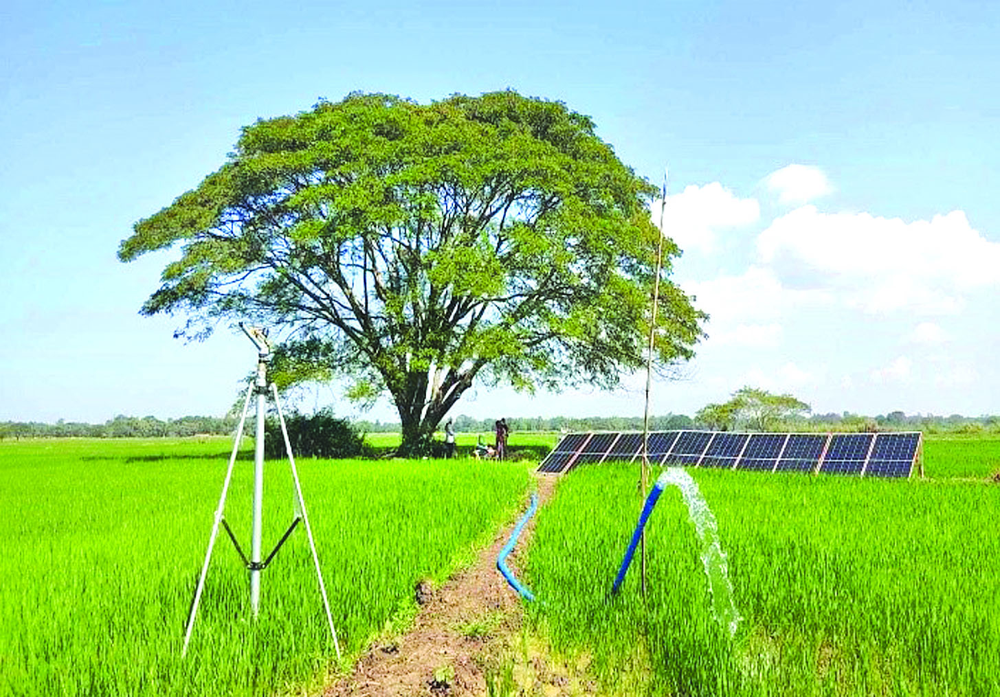 ဆောင်းပါး