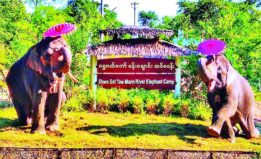 ဆောင်းပါး