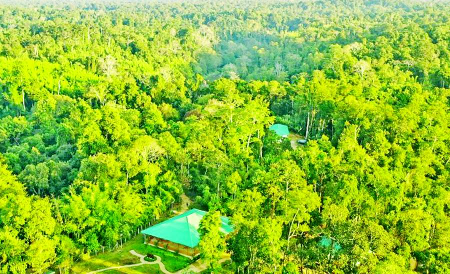 ဆောင်းပါး