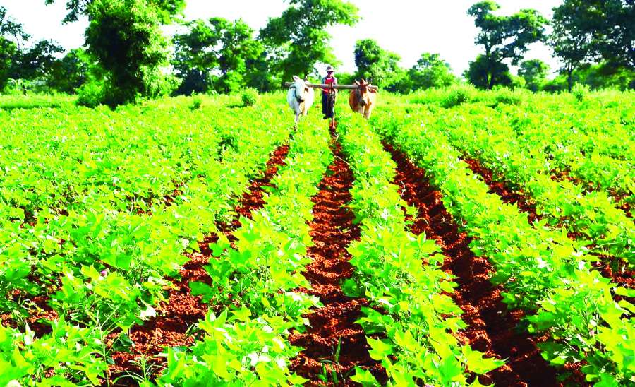 ဆောင်းပါး