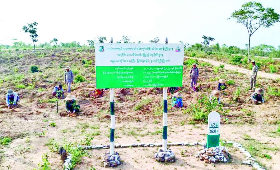 ဆောင်းပါး