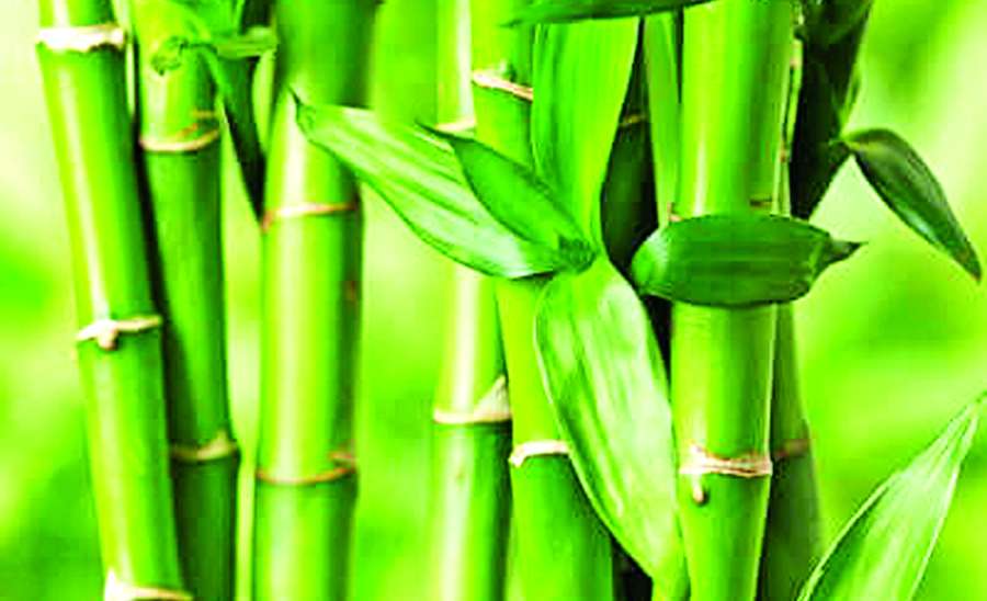 ဆောင်းပါး