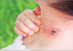 ဆောင်းပါး