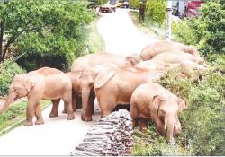 သဘာဝပတ်ဝန်းကျင်