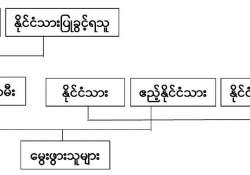 ရွေးကောက်တင်မြှောက်ခံပိုင်ခွင့်၊ နိုင်ငံသားဖြစ်ခြင်း၊ ပြည်ပလွှမ်းမိုးမှုနှင့် နိုင်ငံခြားအထောက်အပံ့များ