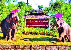 ဆောင်းပါး