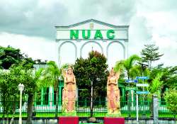 ဆောင်းပါး