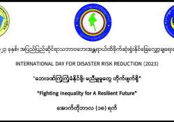 သဘာဝဘေးအန္တရာယ် ထိခိုက်ဆုံးရှုံးမှုလျှော့ချရေးနှင့် ထိရောက်မှု