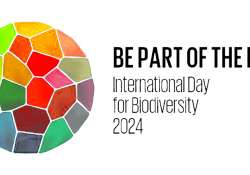 ဆောင်းပါး