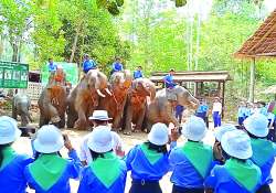 ဆောင်းပါး