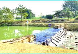 ဆောင်းပါး