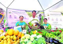 ထိုင်းနိုင်ငံ၏ သမဝါယမစနစ်ကို လေ့လာခြင်း