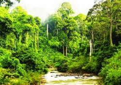 ဆောင်းပါး