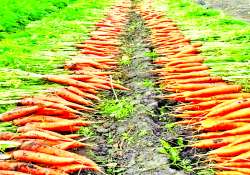 ဆောင်းပါး