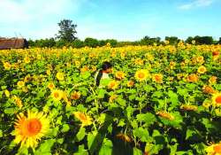 အနာဂတ်စားရေရိက္ခာဖူလုံဖို့ လက်တွဲဆောင်ရွက်ကြပါစို့