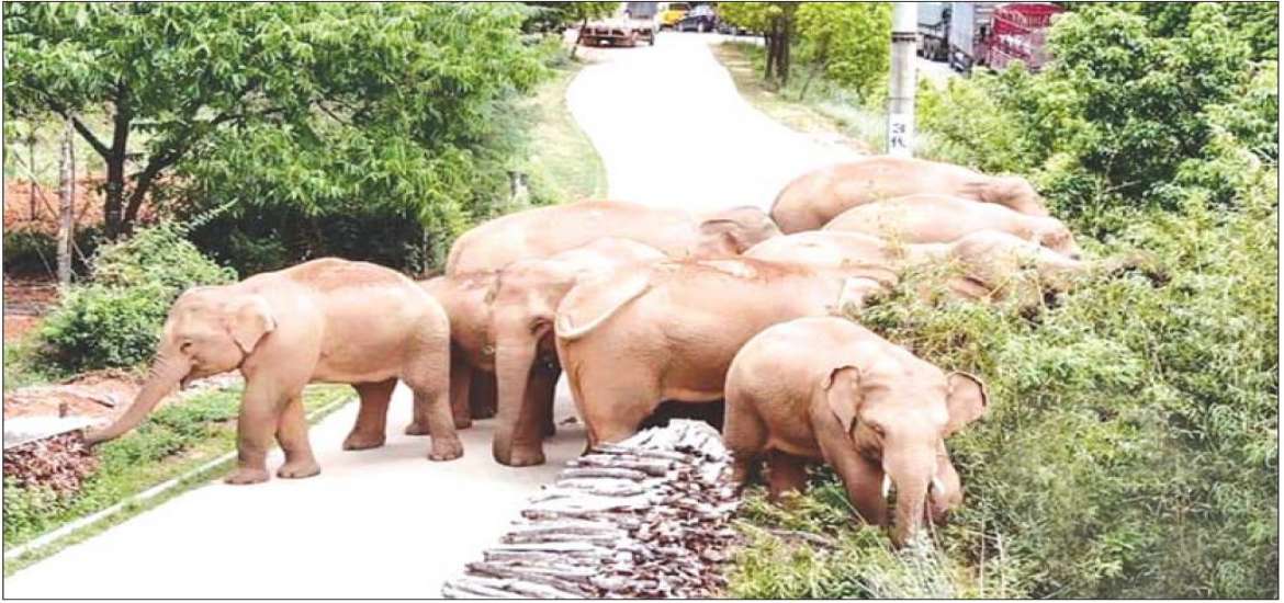 သဘာဝပတ်ဝန်းကျင်