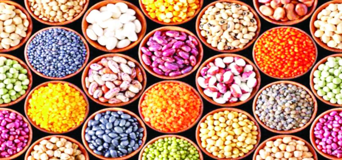 ဆောင်းပါး