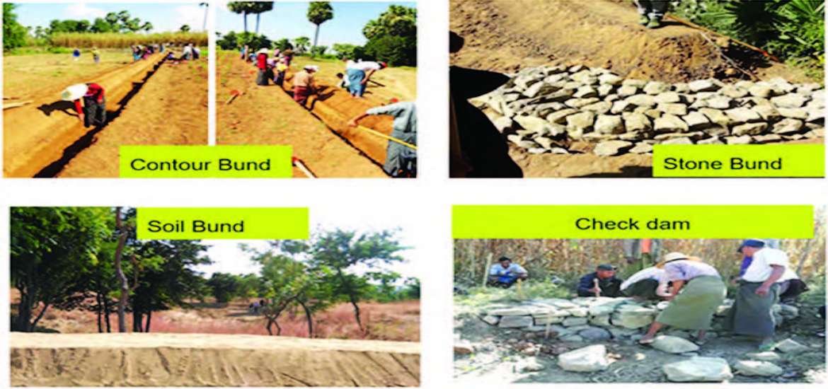 သတိပြုဆောင်ရွက်သင့်သည့် မြေဆီလွှာထိန်းသိမ်းရေးနည်းလမ်းများ