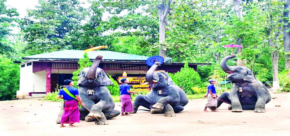 ဆောင်းပါး