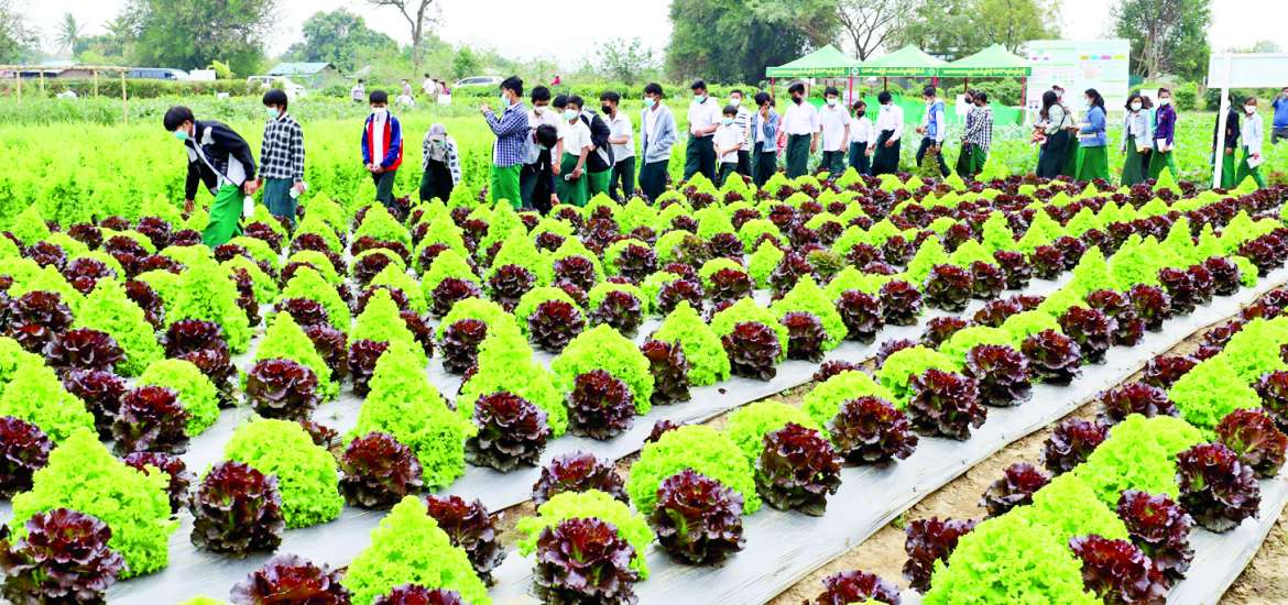 ဆောင်းပါး