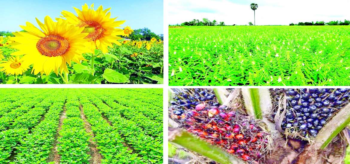 ဆောင်းပါး