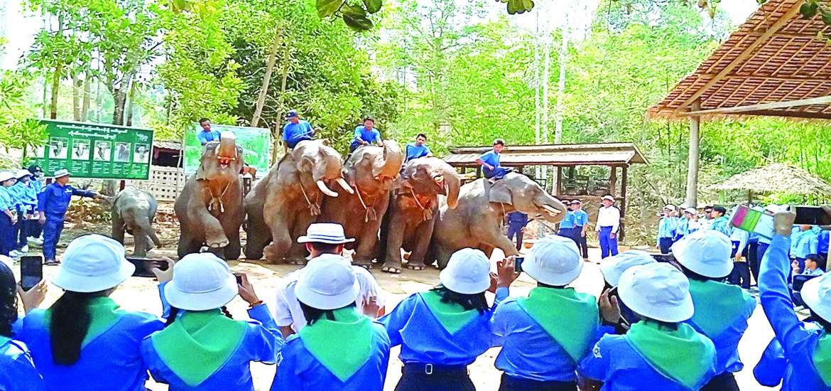 ဆောင်းပါး