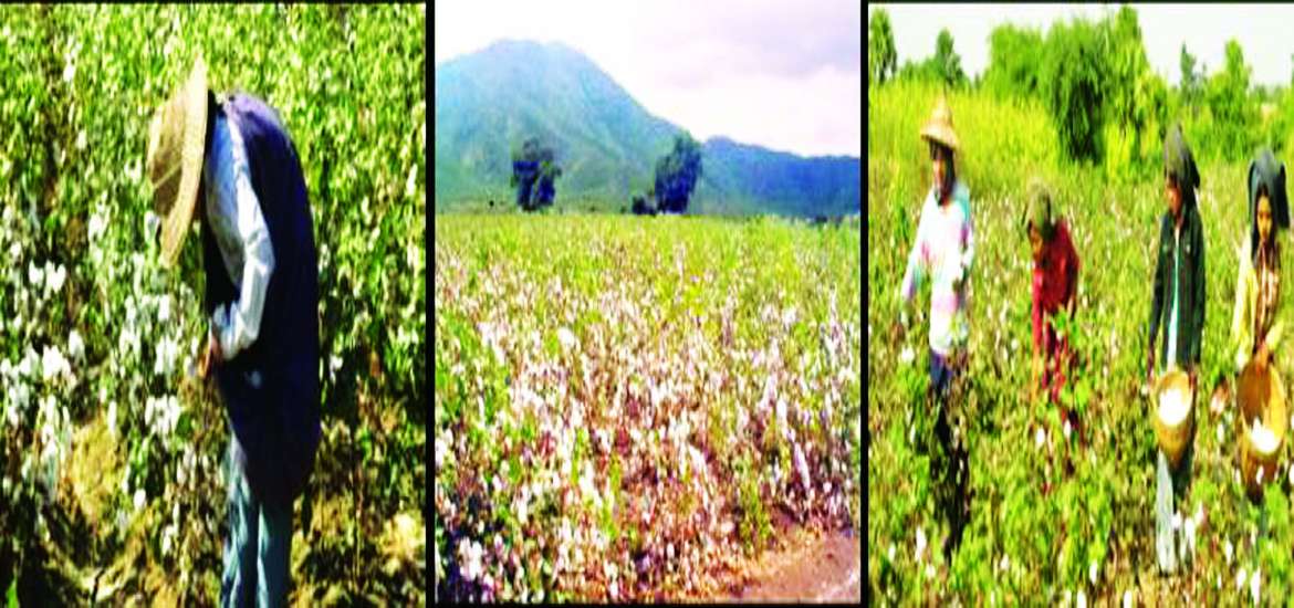 ဆောင်းပါး