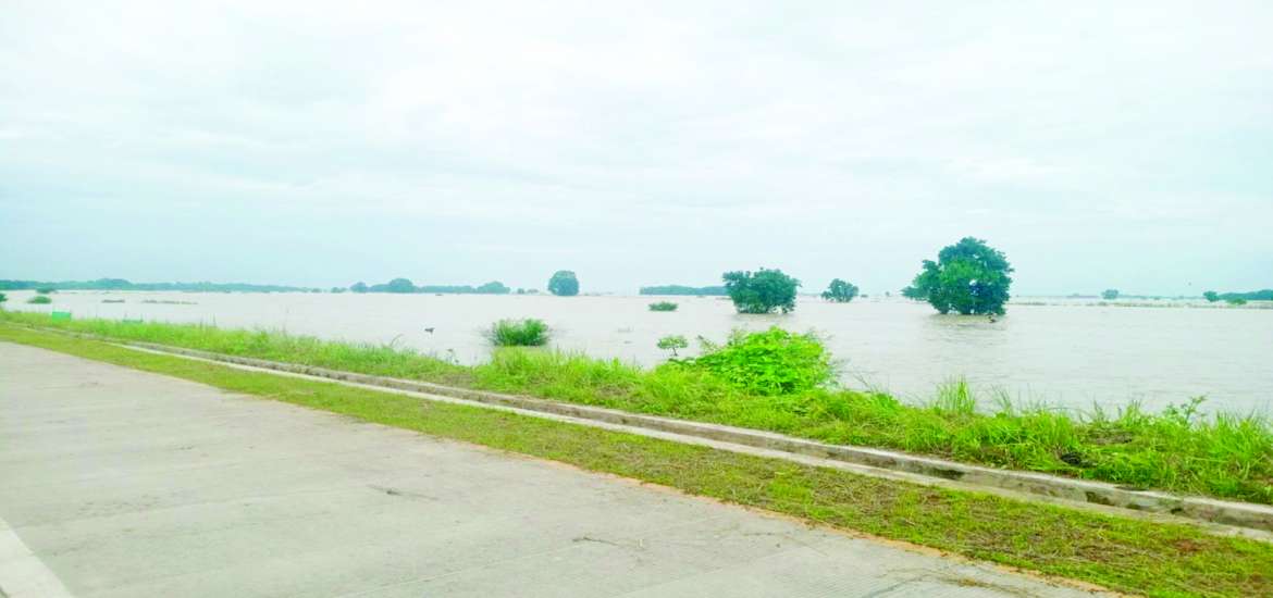 ဆောင်းပါး