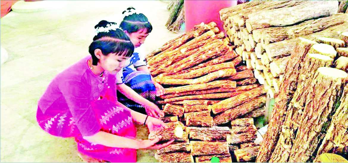 မြန်မာ့သနပ်ခါးကို ကမ္ဘာကသိစေဖို့ ပူးပေါင်းဆောင်ရွက်ကြပါစို့