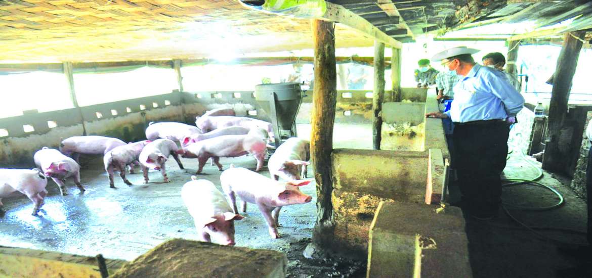 ဆောင်းပါး